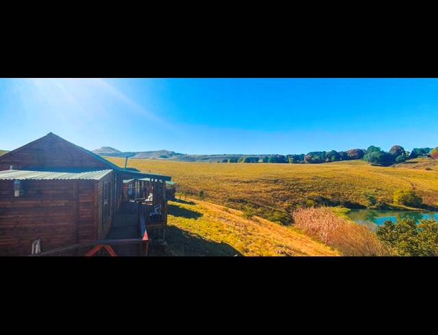 FARM FOR SALE IN UNDERBERG